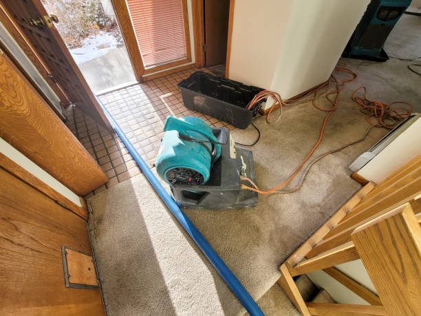 Best Flooded house restoration  in Lowellville, OH