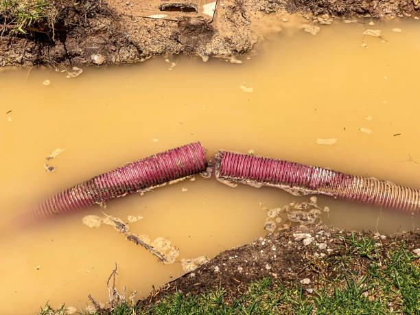 Best Water damage contractors near me  in Lowellville, OH