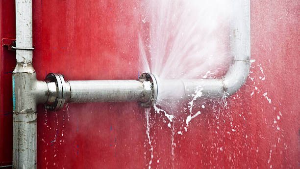 Best Carpet water damage restoration  in Lowellville, OH